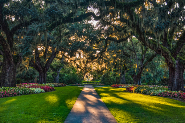 Brookgreen Gardens