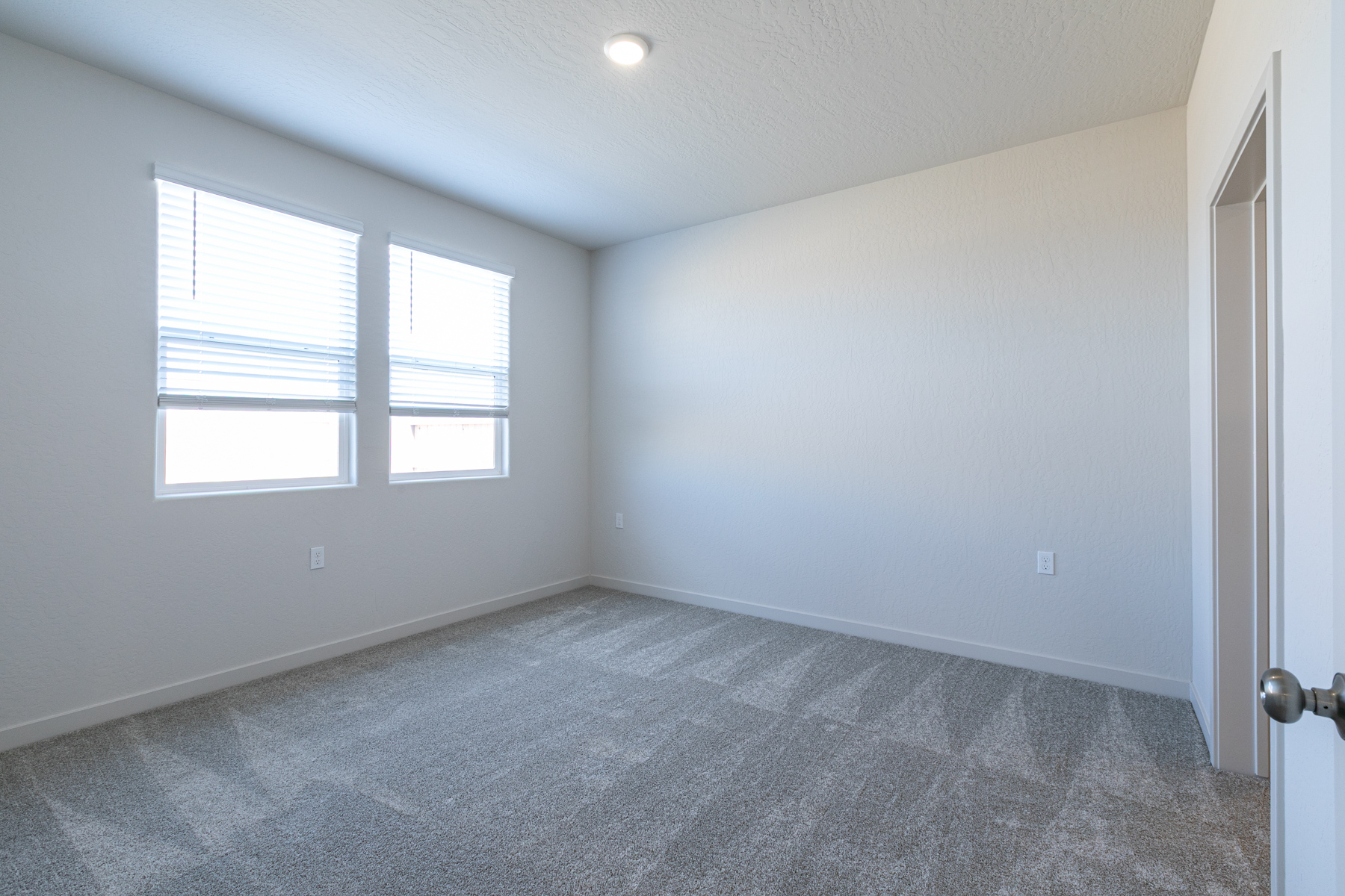 A room with a carpet and windows.