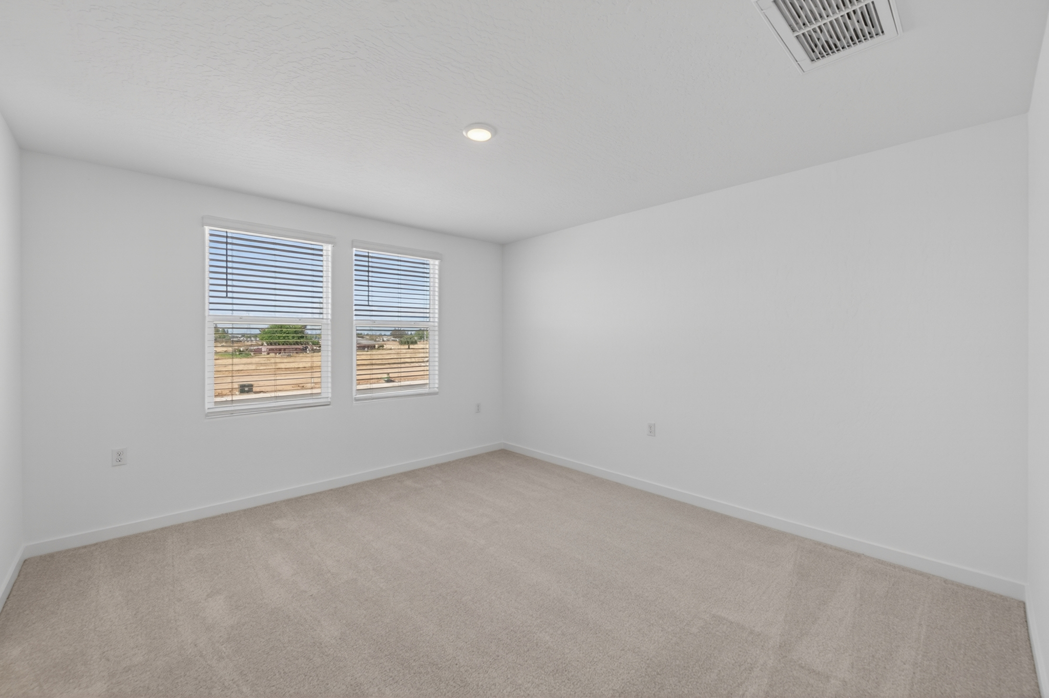 A room with a carpet and windows.