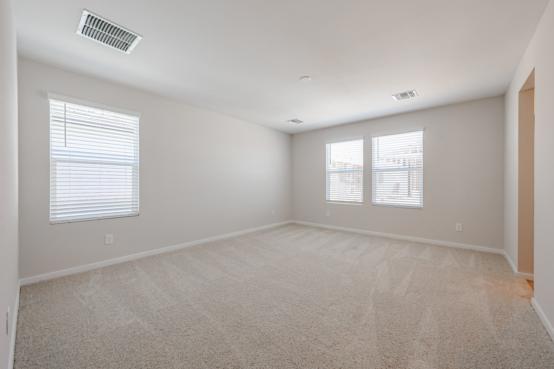 A room with a carpet and windows.