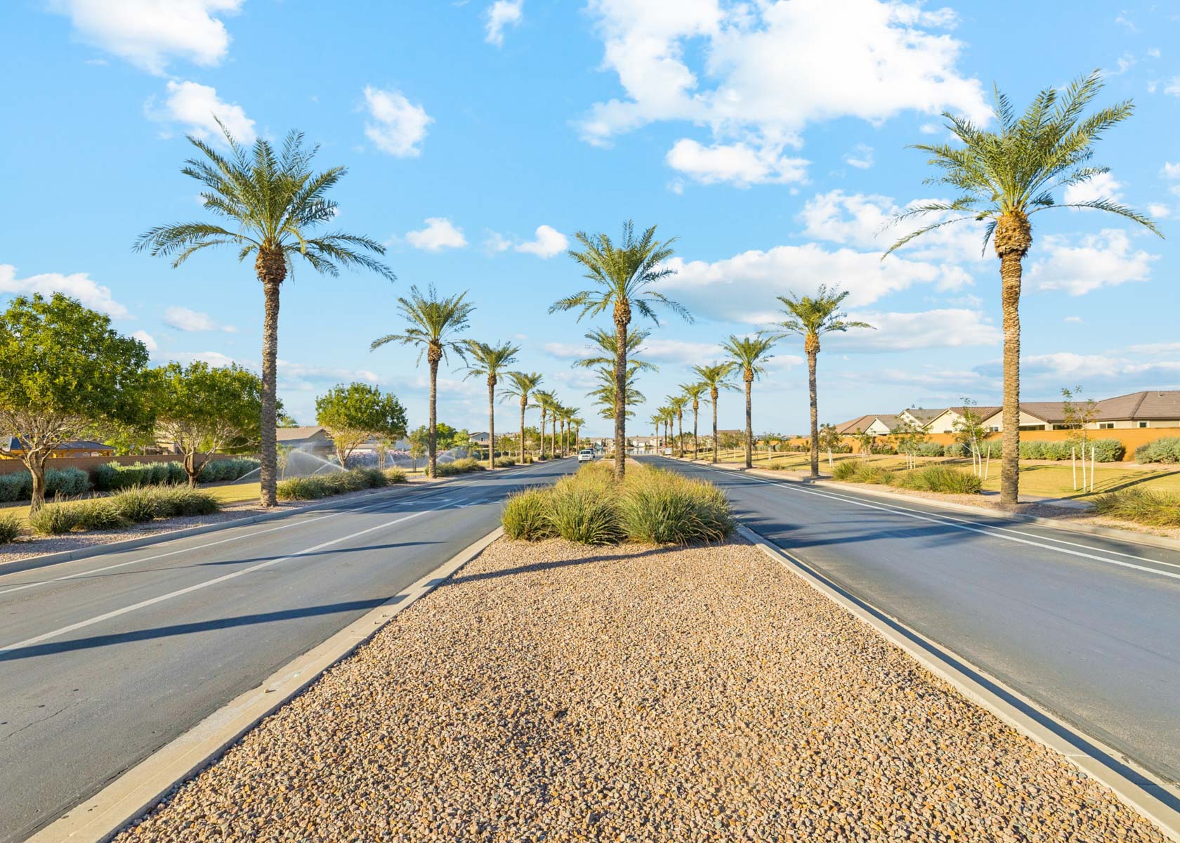 A road with palm trees on the side.