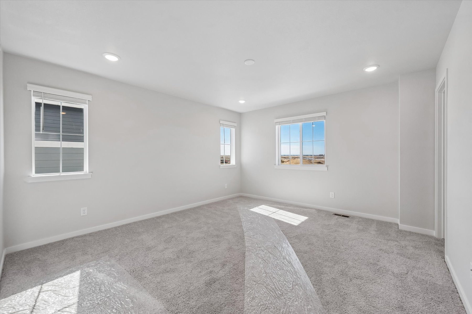 A room with a carpet and windows.