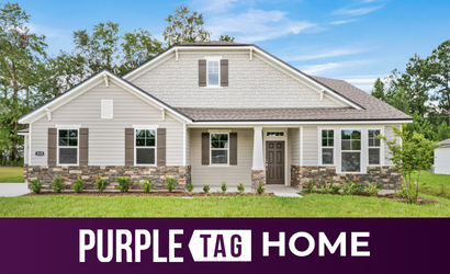 Purple Tag River Birch Lot 587 at NorthShore in Kingsland