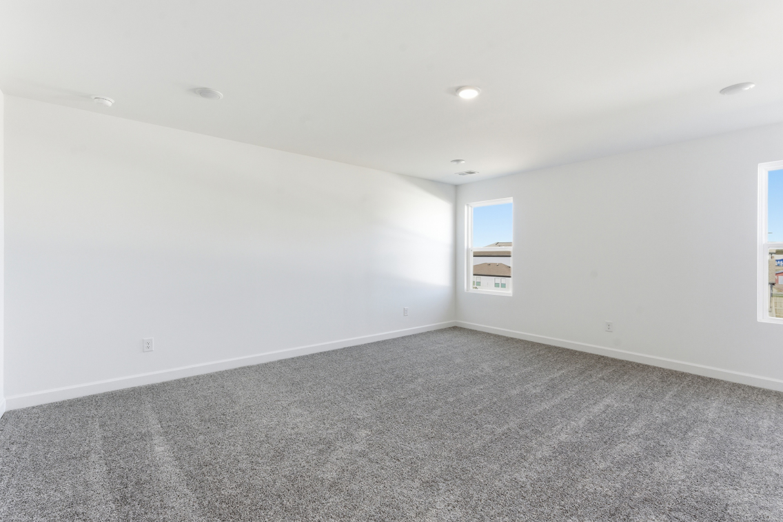 A room with a carpet and windows.