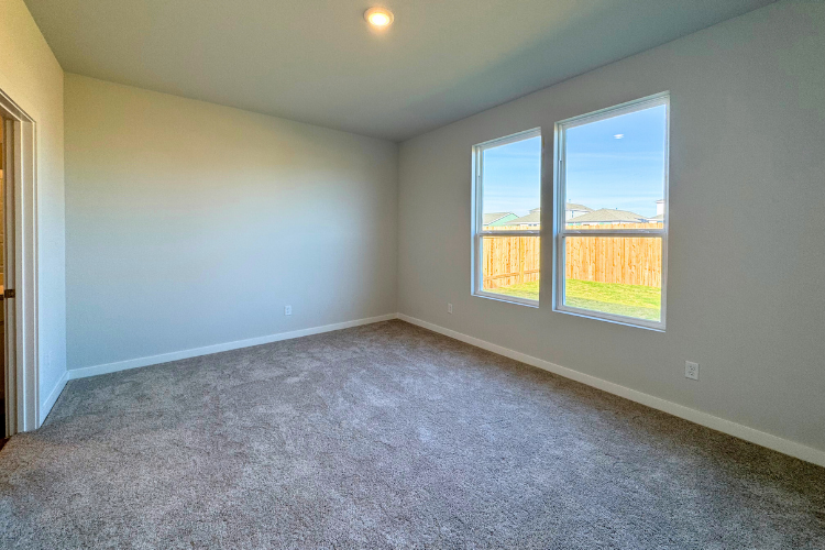A room with a carpet and windows.