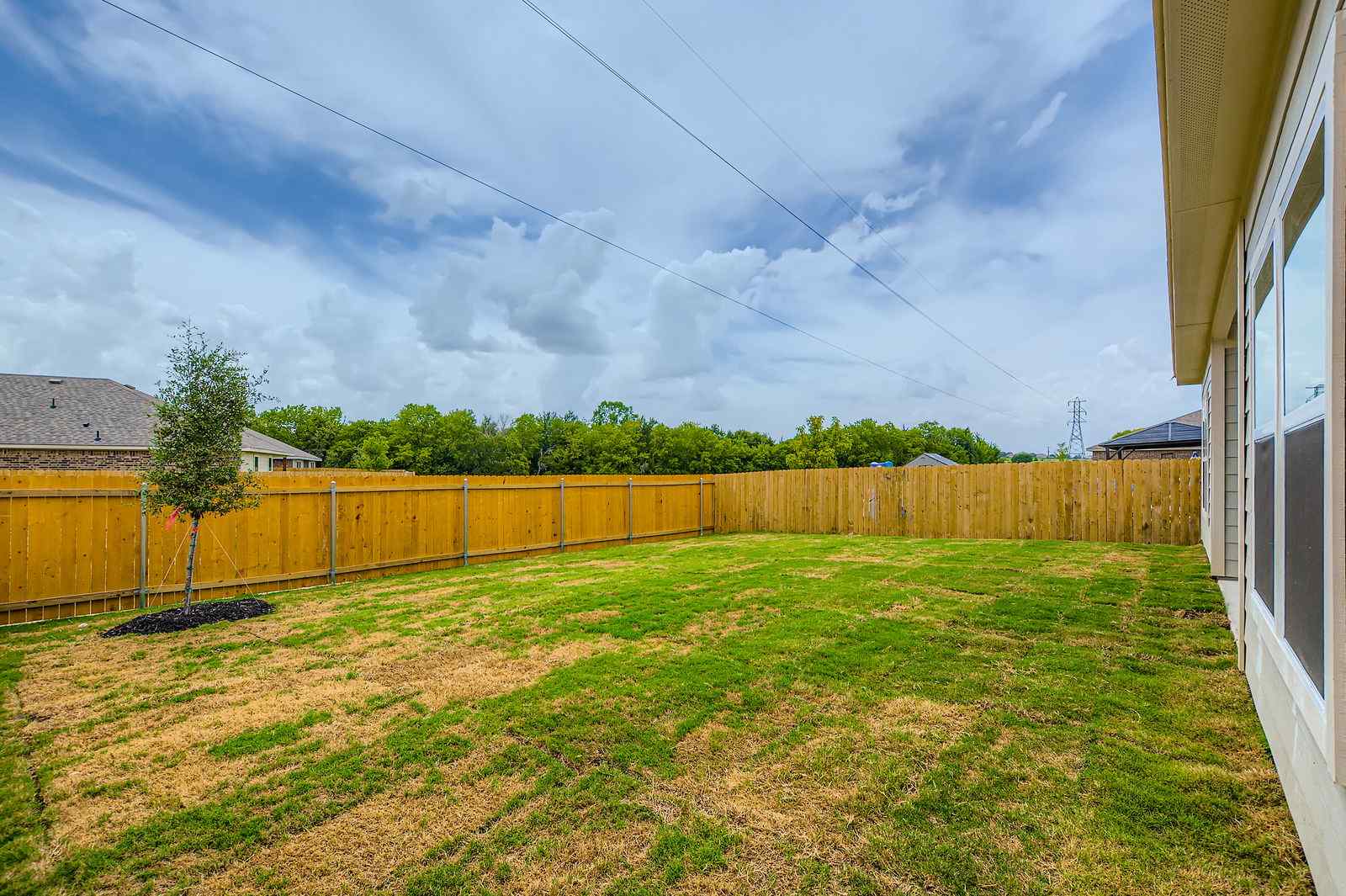 A fenced in yard with a tree and a house in the background.
