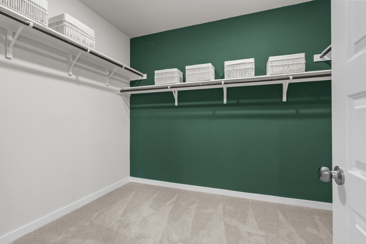 A room with a green wall and white shelves.