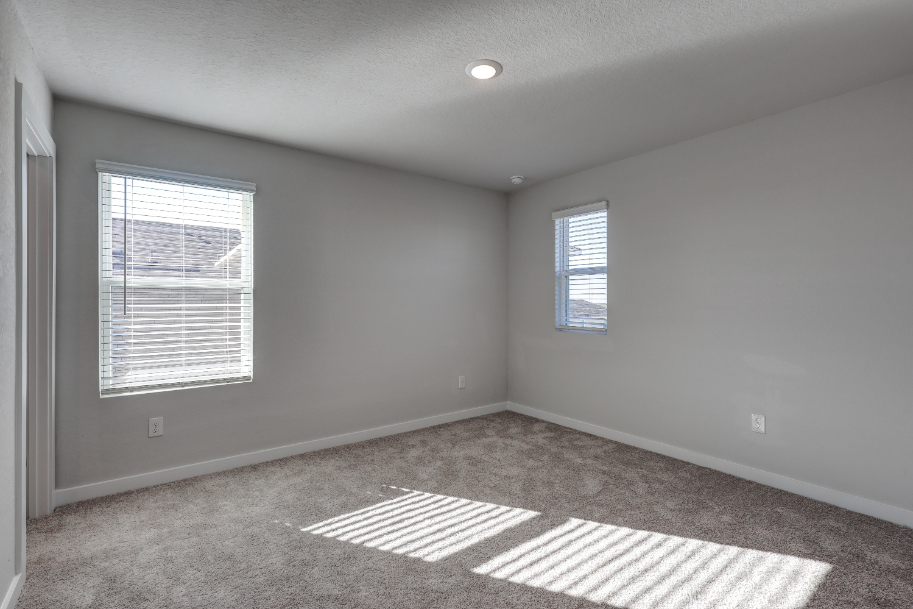 A room with a rug and windows.
