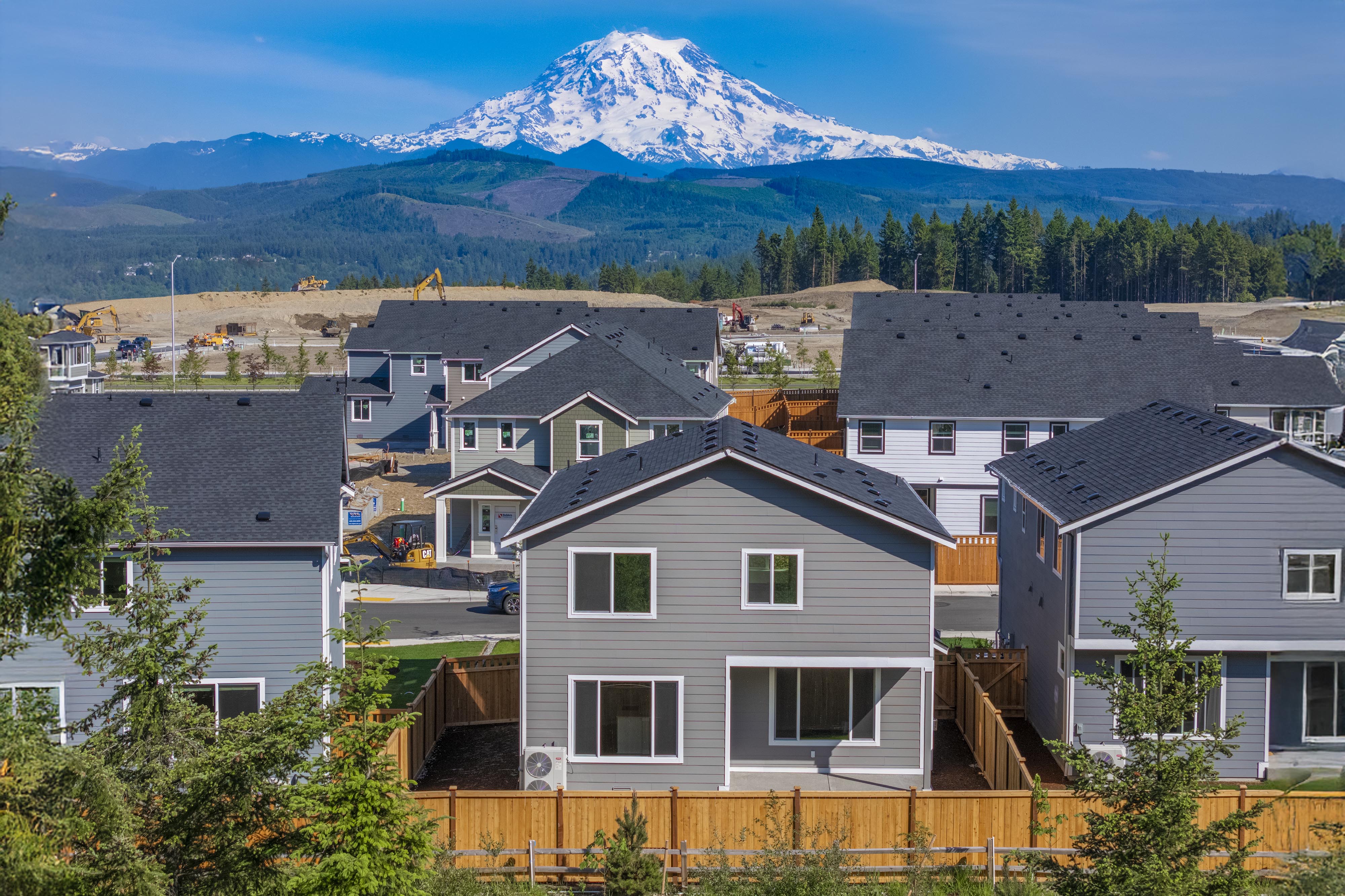 A group of houses with a mountain in the background.