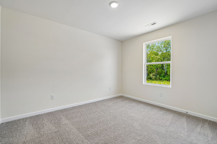 A room with a window and a tree outside.